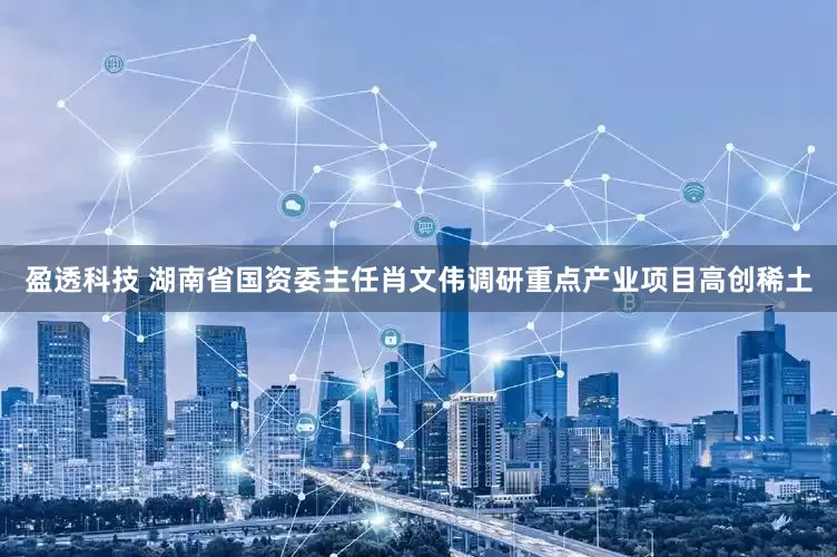 盈透科技 湖南省国资委主任肖文伟调研重点产业项目高创稀土
