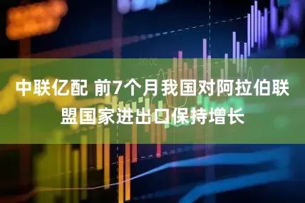 中联亿配 前7个月我国对阿拉伯联盟国家进出口保持增长
