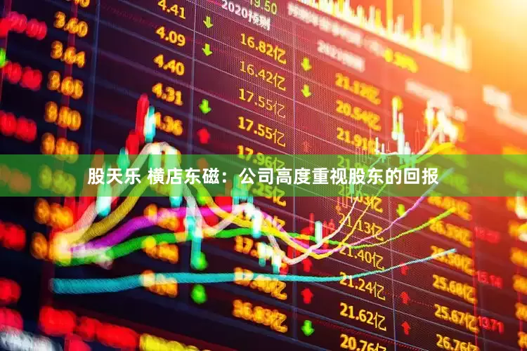 股天乐 横店东磁：公司高度重视股东的回报