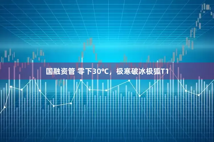 国融资管 零下30℃，极寒破冰极狐T1