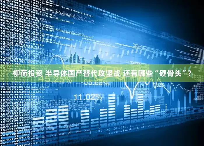 柳荷投资 半导体国产替代攻坚战 还有哪些“硬骨头”?